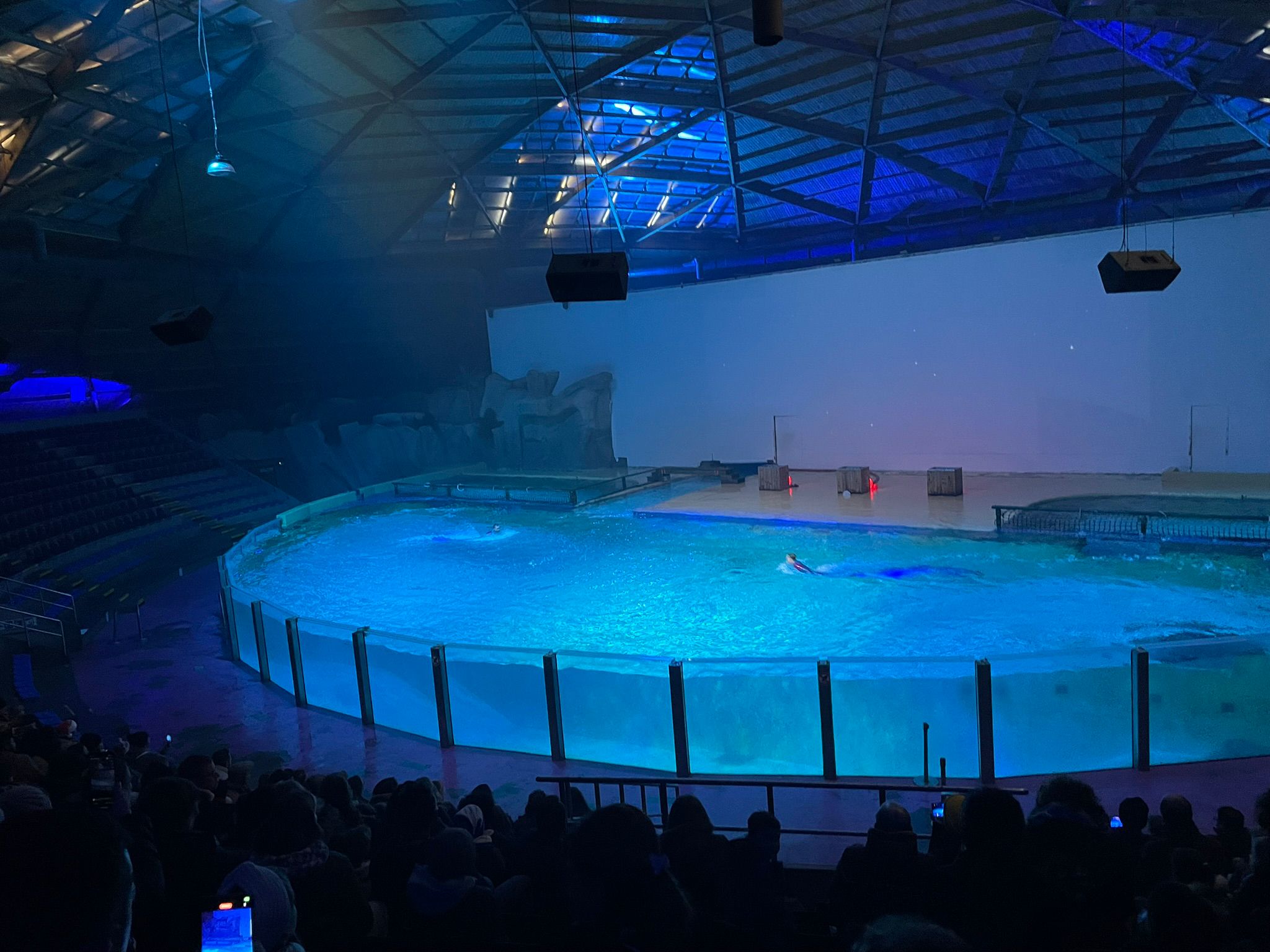 Sint-Martinus den XIIde - Winterkamp JVK 2024